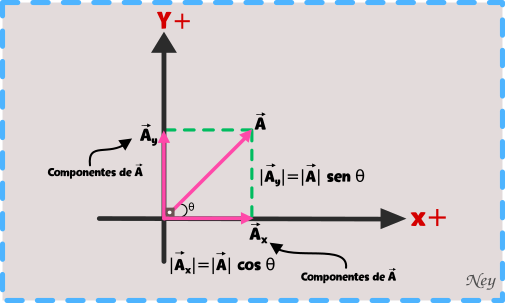 vector y sus componentes
