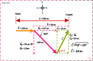 Física I – Ejercicio De Vectores 08 (Sears – Zemansky) | Ney